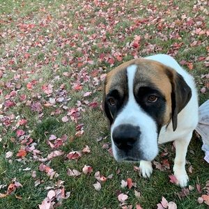 Meet your Posher, Kelley